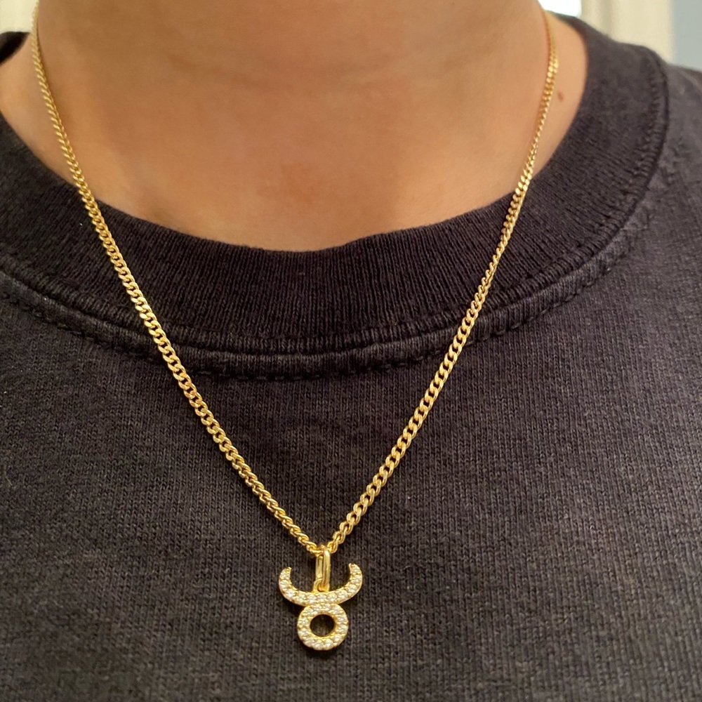 NWOT Hazel Boutique Taurus with Gold Chain Necklace